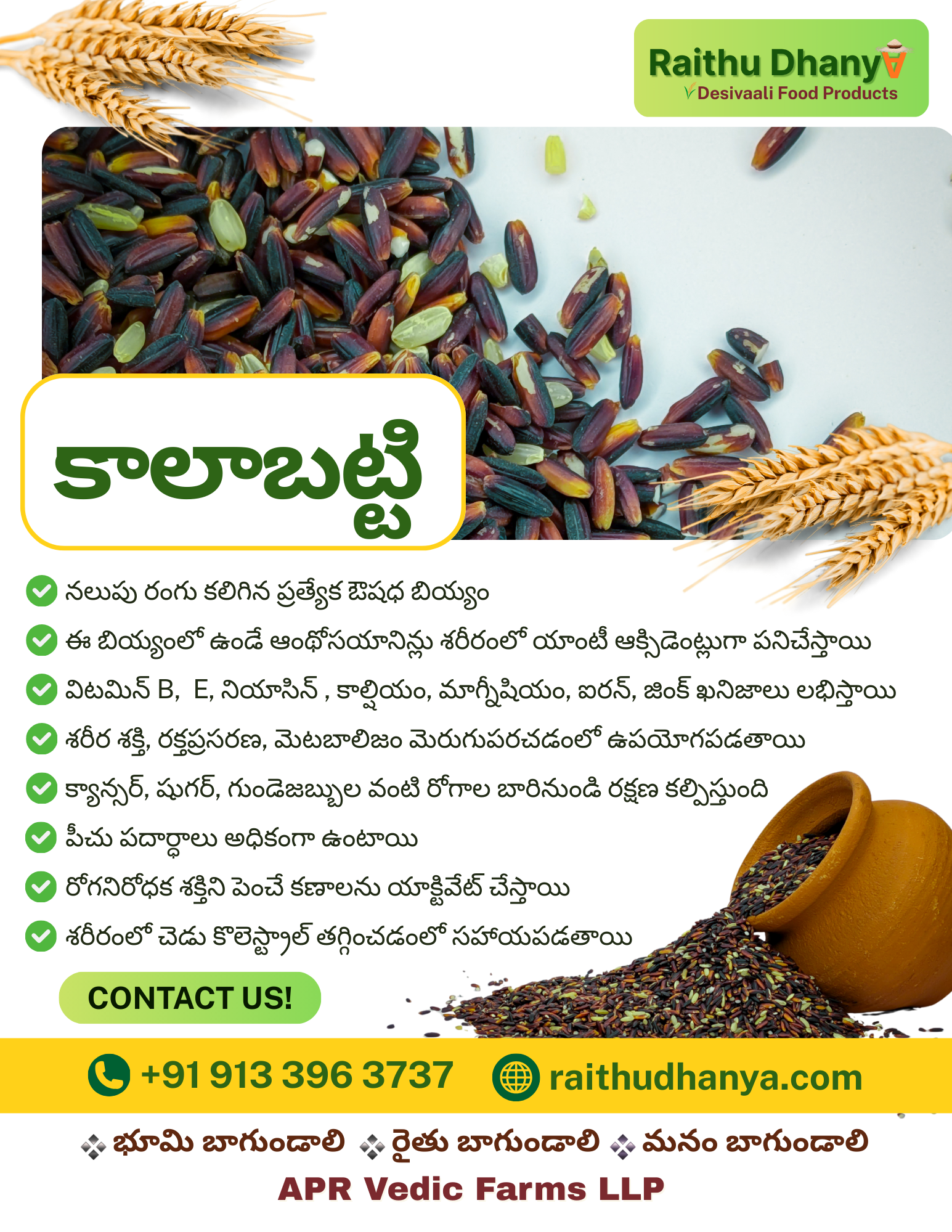 Raywa Ravipati Rice RaithuDhanya - Gallery
