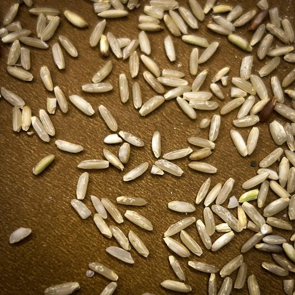 Dudheshwar - Image 3