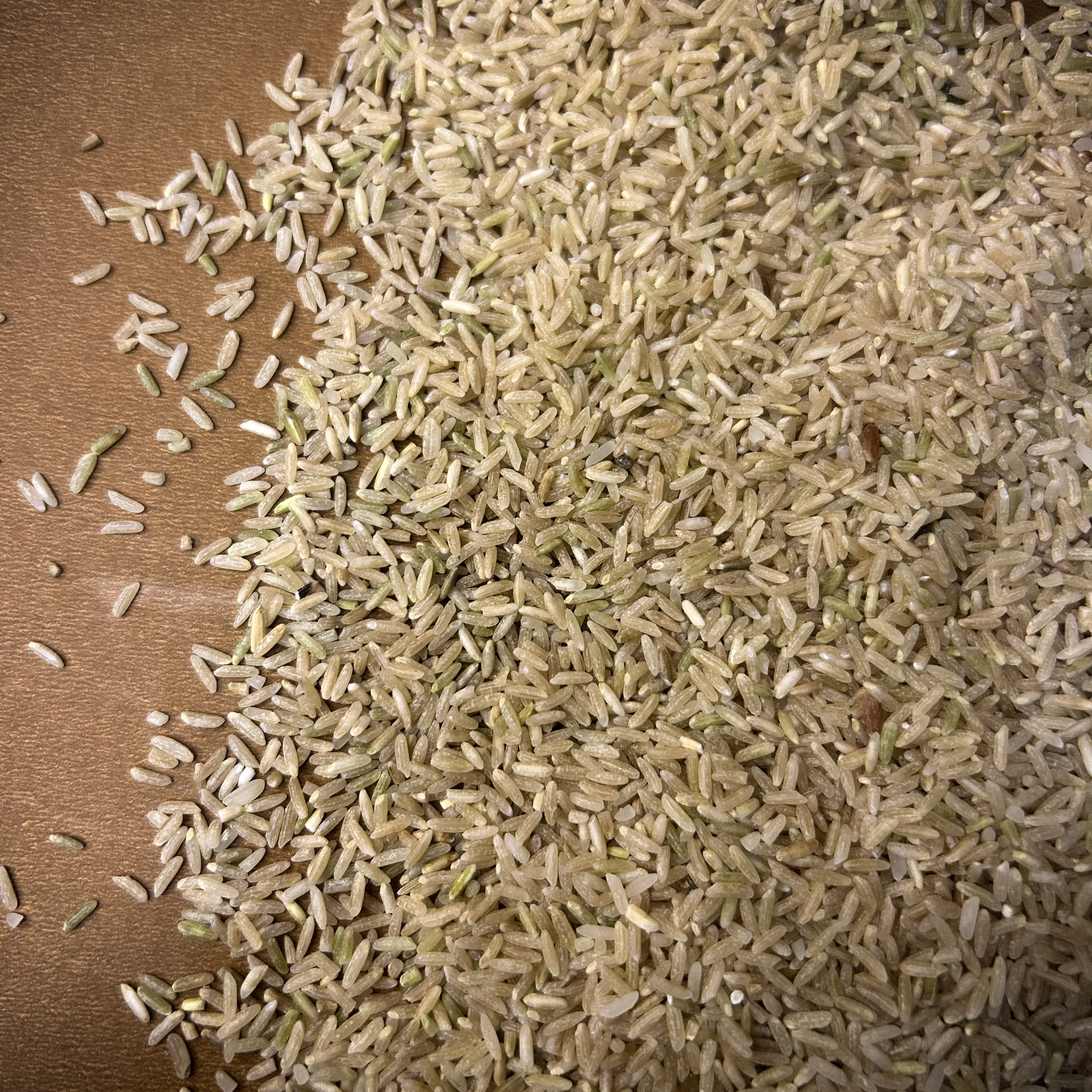 Kujipatalia - Image 3