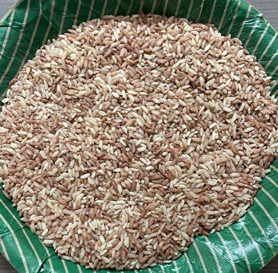 Rajamudi